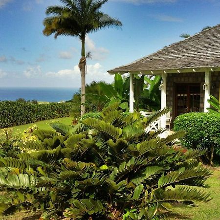 Ottleys Plantation Inn Cayon Экстерьер фото