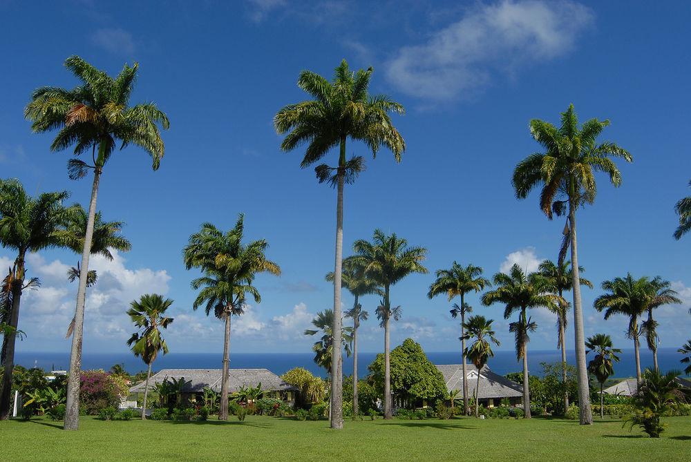 Ottleys Plantation Inn Cayon Экстерьер фото