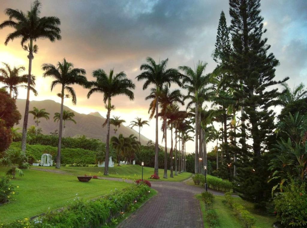 Ottleys Plantation Inn Cayon Экстерьер фото